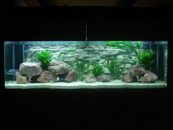 Gibberosas 1260l Aquarium